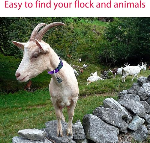 Miniatura 6 de Paquete de 4 collares de cabra con campana, campanas de cobre para pastoreo de mascotas, vaca, caballo, oveja, accesorios de campana de bronce