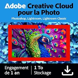 Adobe Creative Cloud 1TB:Photoshop&Lightroom | 1 an | PC/…