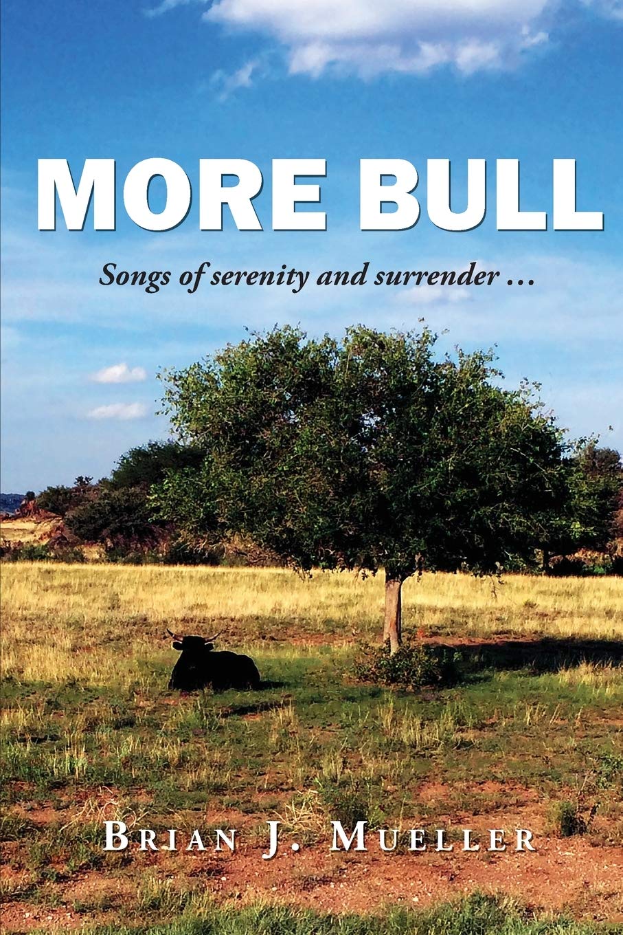 More Bull: Songs of serenity and surrender...