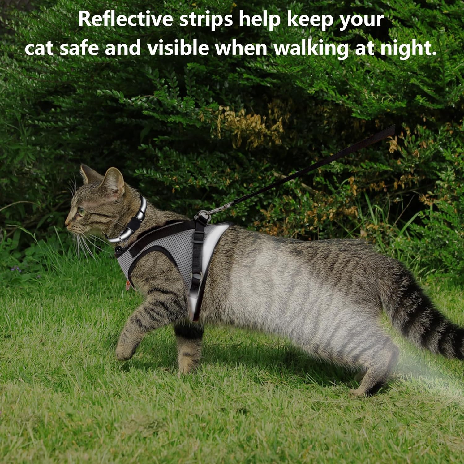 TAIXING Cat Harness and Lead Set, Adjustable Reflective Stripe Kitten Harness and Lead Set, Grey Escape Proof Cat Kitten Walking Vest with Leash Cat Collar for Small Medium Cats Pets, Soft Mesh 6 81mkmm BXyL. AC SL1500