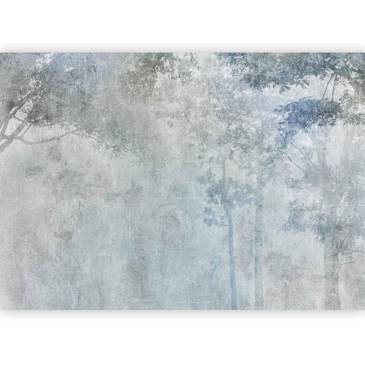 murando Fotomurales Autoadhesivo Bosque 392x280 cm Papel Pintado Decoración | Pared Murales Pegatina decorativos adhesivos moderna de Diseno Fotográfico Arbol Naturaleza Paisaje Gris