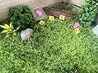 Review Image by Amanda Springsteen Amanda Springsteen