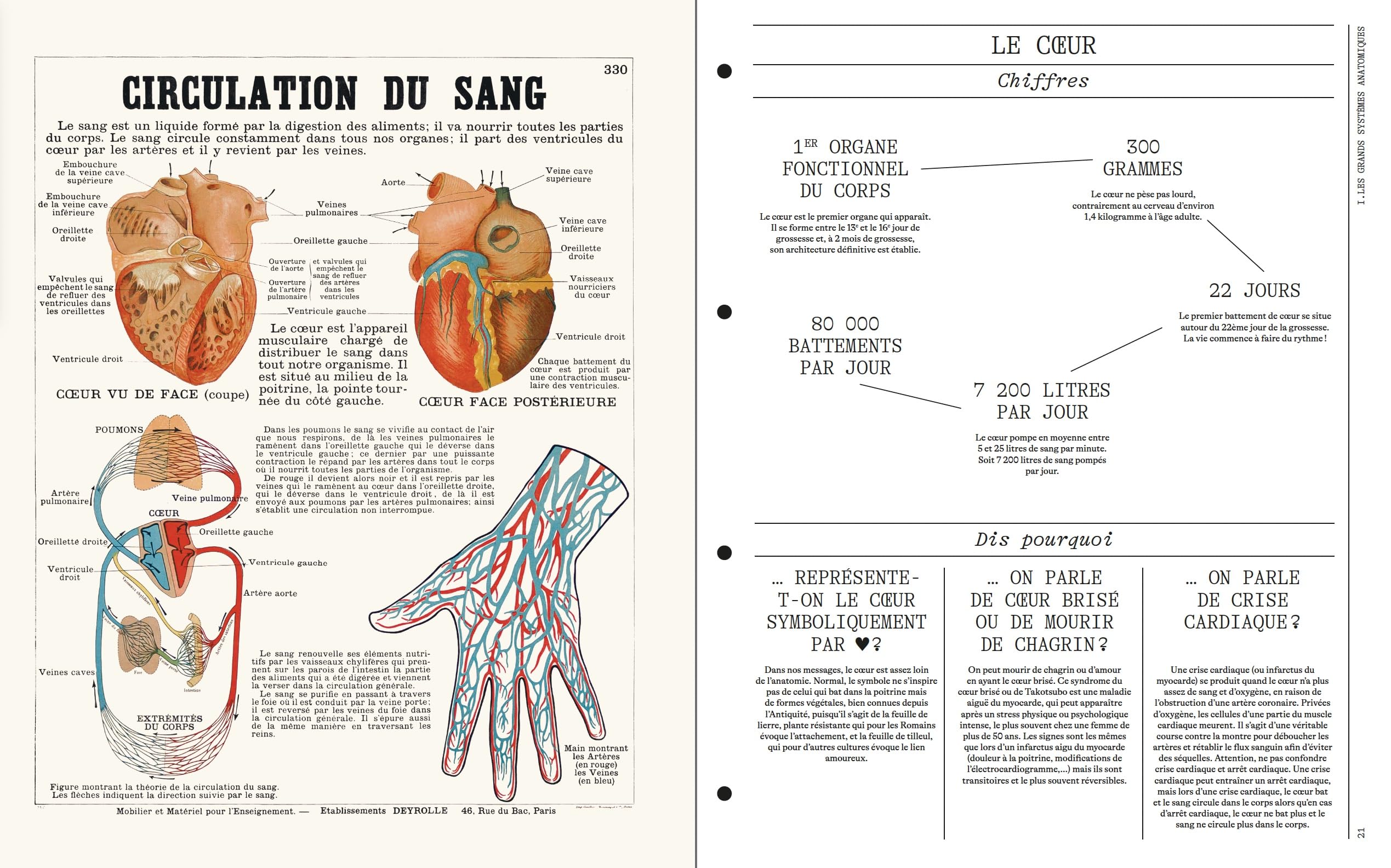 Deyrolle Leçons d'anatomie