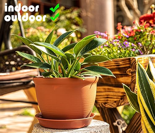 Miniatura 3 de Joojeers Macetas de plástico extra gruesas y resistentes, paquete de 5 macetas de 7.8 pulgadas con agujeros de drenaje y platillos, macetas de