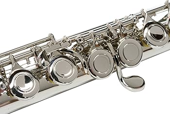Amazon | Zeff フルート C管 ニッケルメッキ 仕上げ ZFL-30 ハード