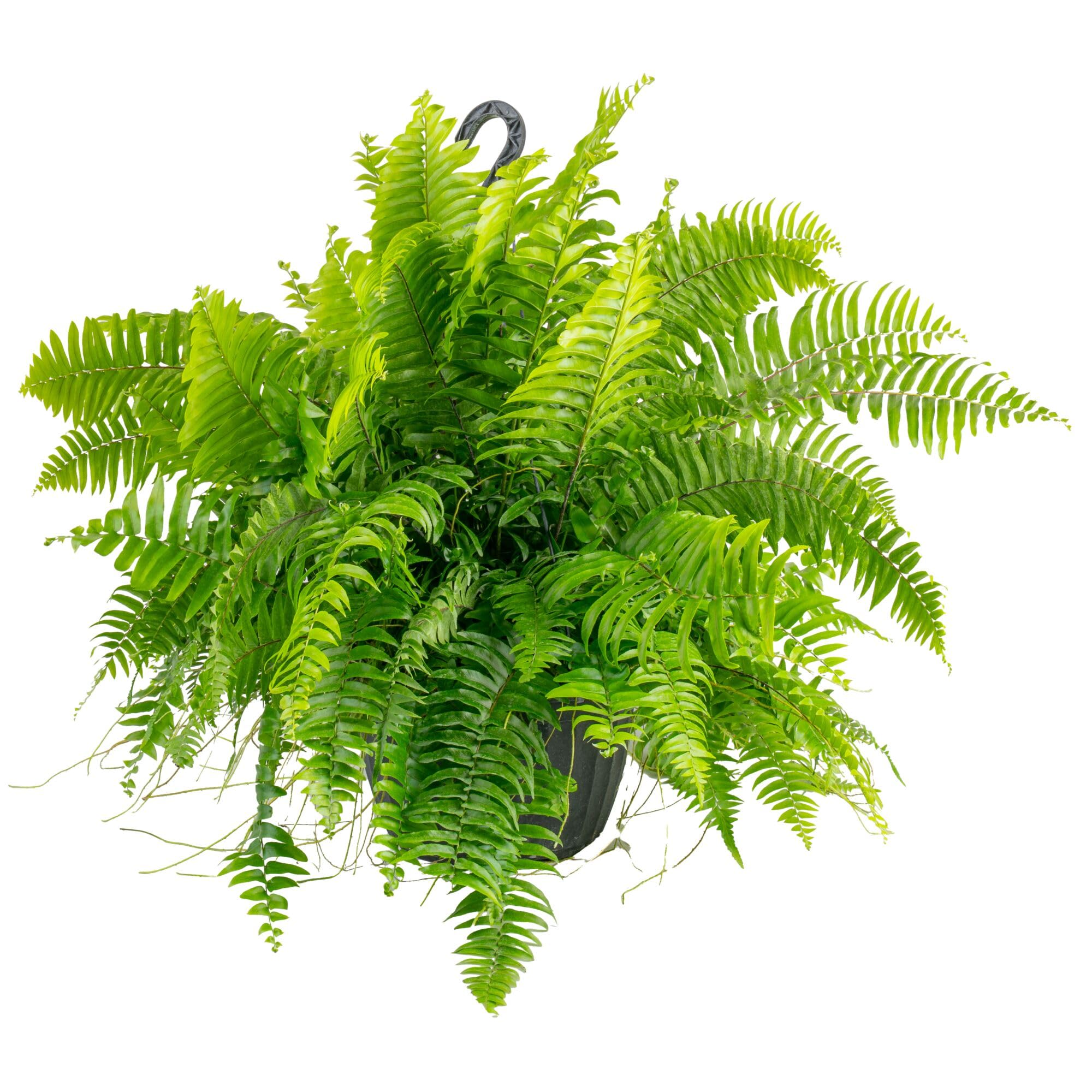 product_img5