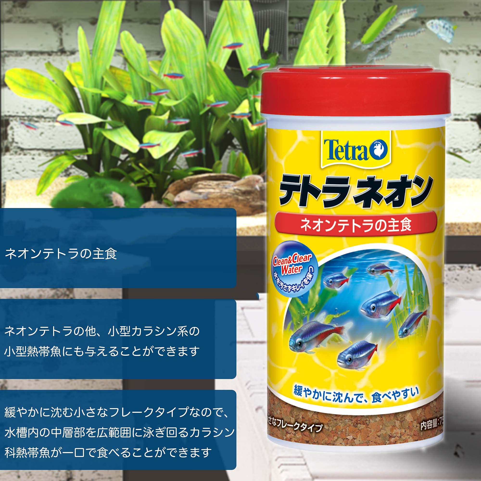 Amazon.co.jp: テトラ (Tetra) ネオン 30g 熱帯魚 エサ : おもちゃ