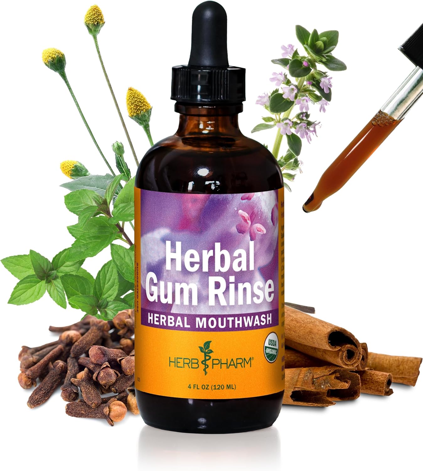 Herb Pharm Gum Guardian Herbal Mouthwash for Healthy Mouth and Gums - 4 Ounce