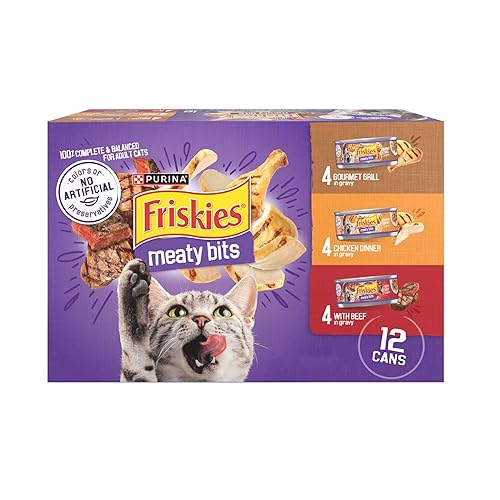 Purina Friskies Gravy Wet Cat Food Variety Pack, Meaty Bits - (2 Packs of 12) 5.5 oz. Cans - Variety Pack: Meaty Bits - 5.5 Ounce (Pack of 24)