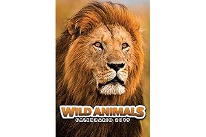 WILD ANIMALS 2019 Wall Calendar
