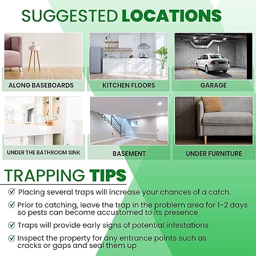 Miniatura 4 de T3-R Trampas adhesivas para insectos extra grandes (paquete de 12) - Tablas de pegamento para ratones e insectos - Trampas de pegamento desechables