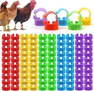 16mm Numbered Poultry Leg Bands – Colorful Chicken Leg Rings for Ducks, Geese, Turkeys, Game Birds – Bird Identification Bands for Poultry Breeding & Flock Management