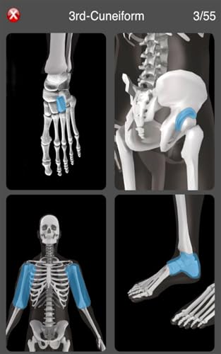 Anatomy Quiz Pro