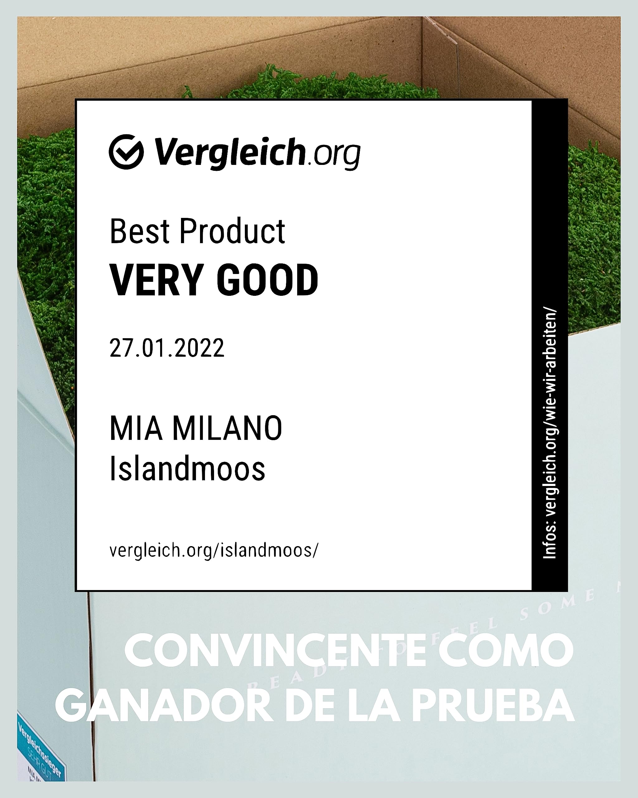 Mia Milano Hoja de Musgo Preservado para Artesanía | Deco de Musgo Natural Duradero para Cuadros de Musgo | Musgo Plano Reutilizable