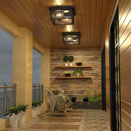 Miniatura 4 de Asnxcju Lámpara de techo de granja 2 luces negras de montaje empotrado con pantalla de vidrio transparente jaula de metal retro cerca de la lámpara