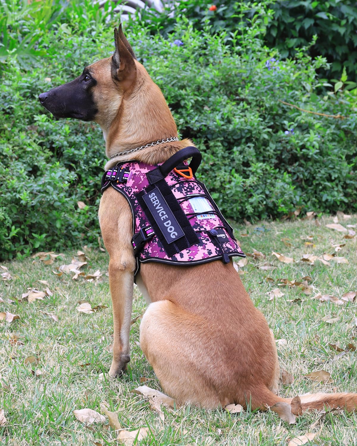 PETNANNY Arnés táctico reflectante con tarjeta de identificación, arnés de chaleco para perros medianos y grandes, chaleco de apoyo emocional con asa acolchada, 2 parches reflectantes para