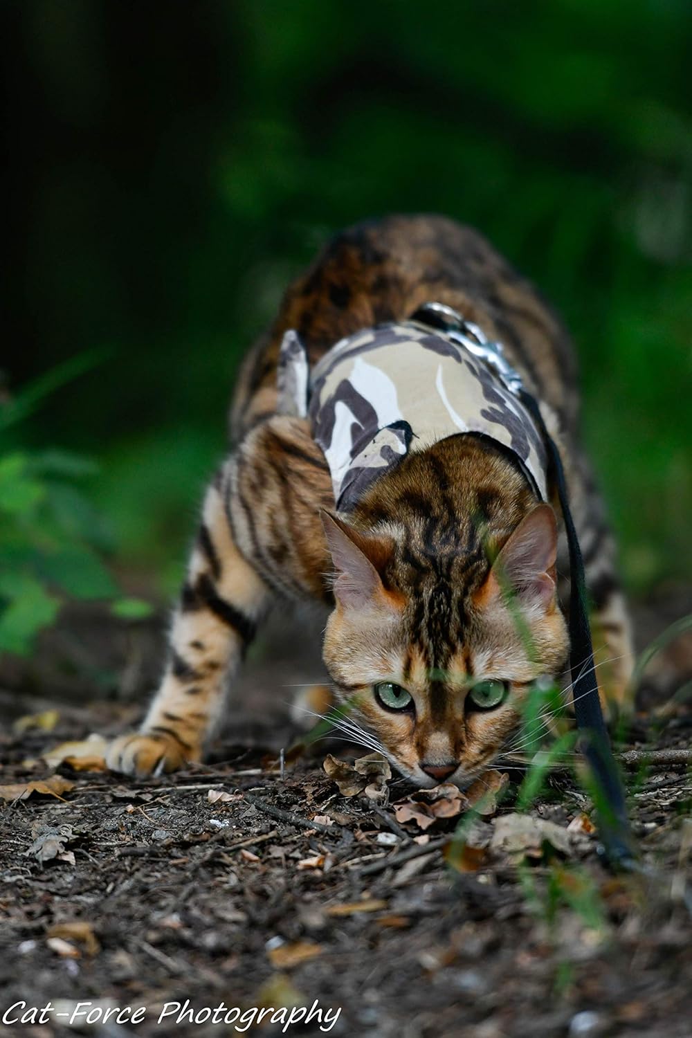 Mynwood Cat Jacket/Harness Desert Storm Combat Adult Cat