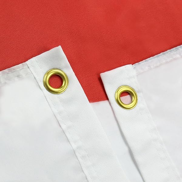 Close-up view of the AZ FLAG Japan flag showing the 100D polyester weave and brass eyelet detail.