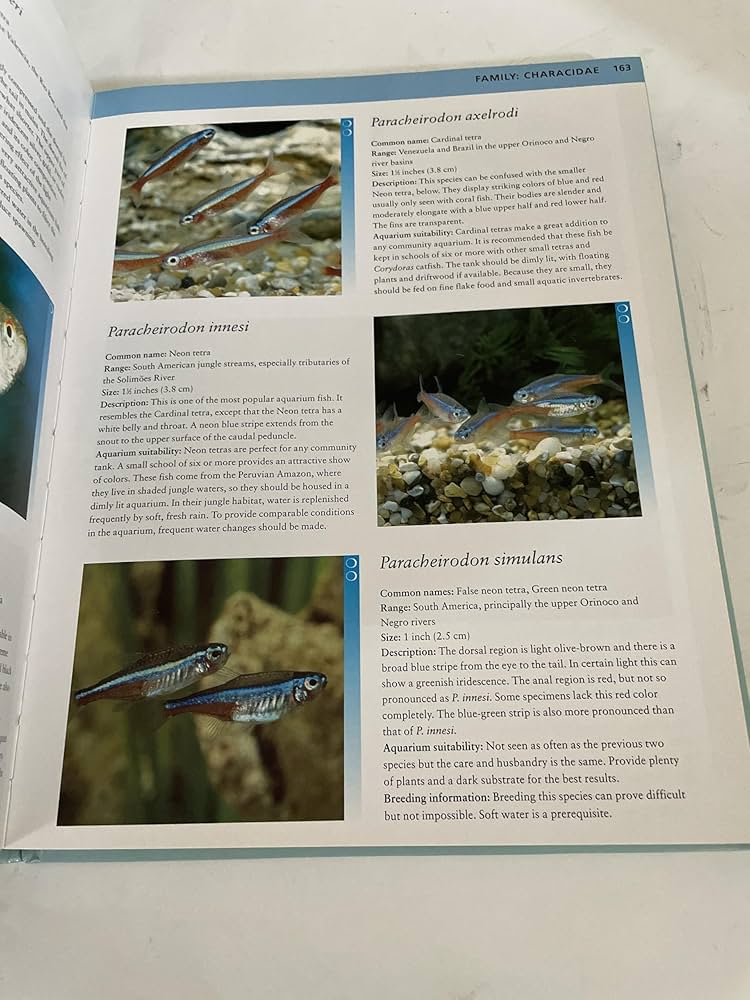 洋書　Freshwater Aquarium Fishes 淡水魚　大型本 What Freshwater Fish?: A Buyer's Guide to Tropical Aquarium
