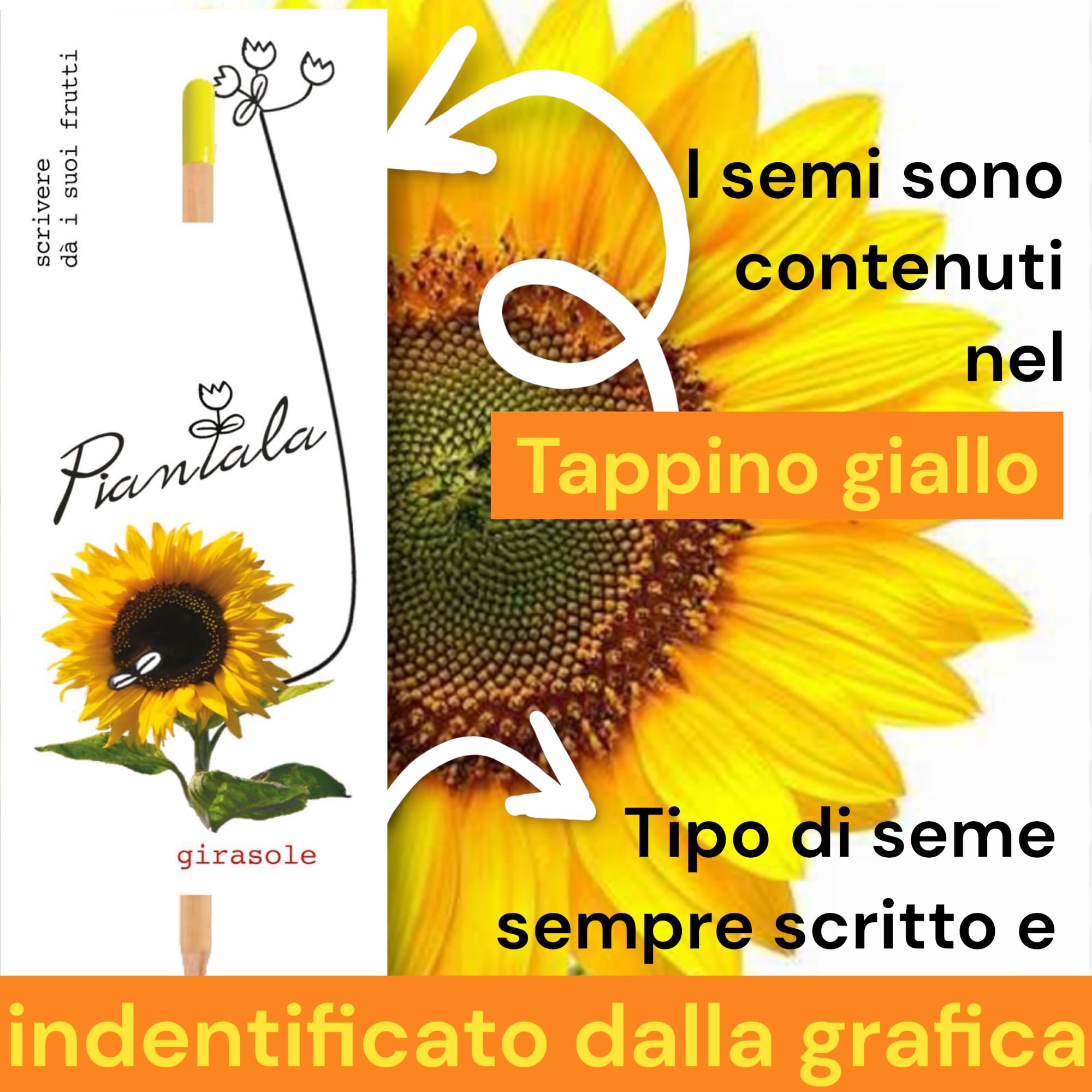 Generico Lápiz plantable VALUE PACK - Paquete de 10 (10 girasoles)