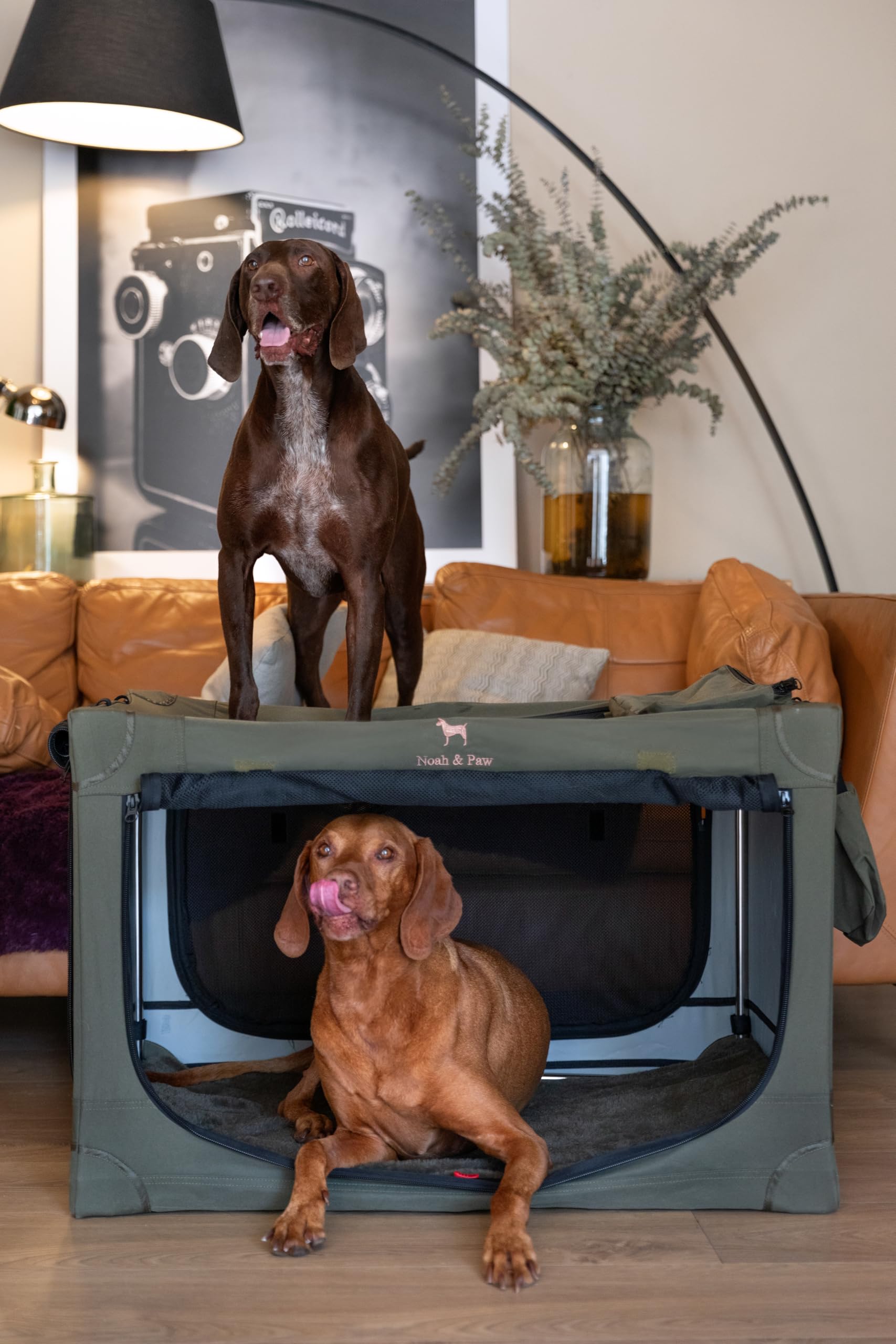 Noah & Paw Gabbia pieghevole per cani 36", gabbia XL per razze medie‑grandi, trasportino auto, tappetino incluso, 2 tasche, borsa, cerniere 10 mm 36x25x23