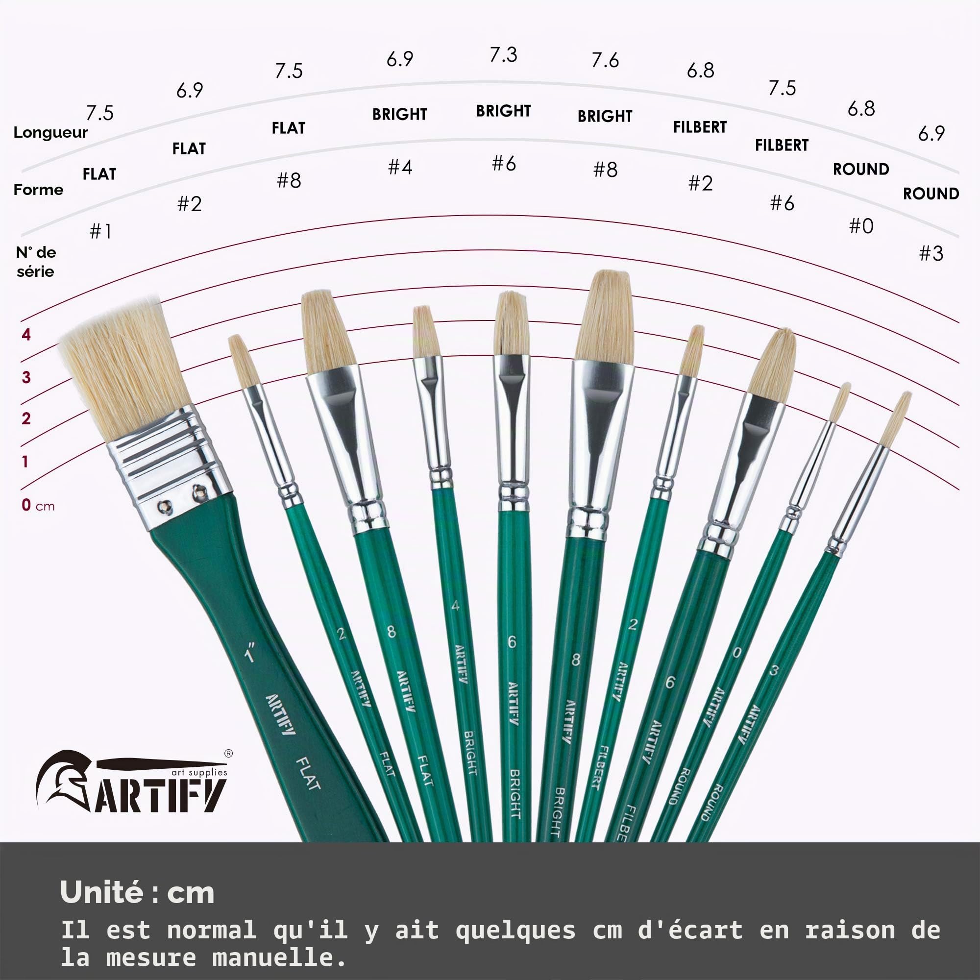 ARTIFY Lot de 10 pinceaux en Poils de Porc avec étui de Transport pour Peinture à l'huile, Aquarelle et Gouache pour Enfants et Adultes, débutants et Professionnels, Vert