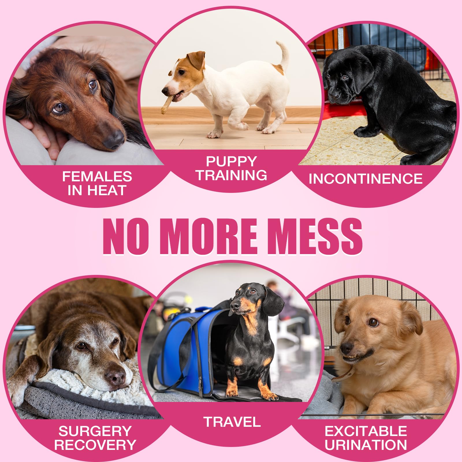Dono Pañales desechables para perros femeninos, pañales súper absorbentes de 90 quilates, con tecnología de gel de secado rápido, pañales para cachorros, a prueba de fugas, para perros en celo,