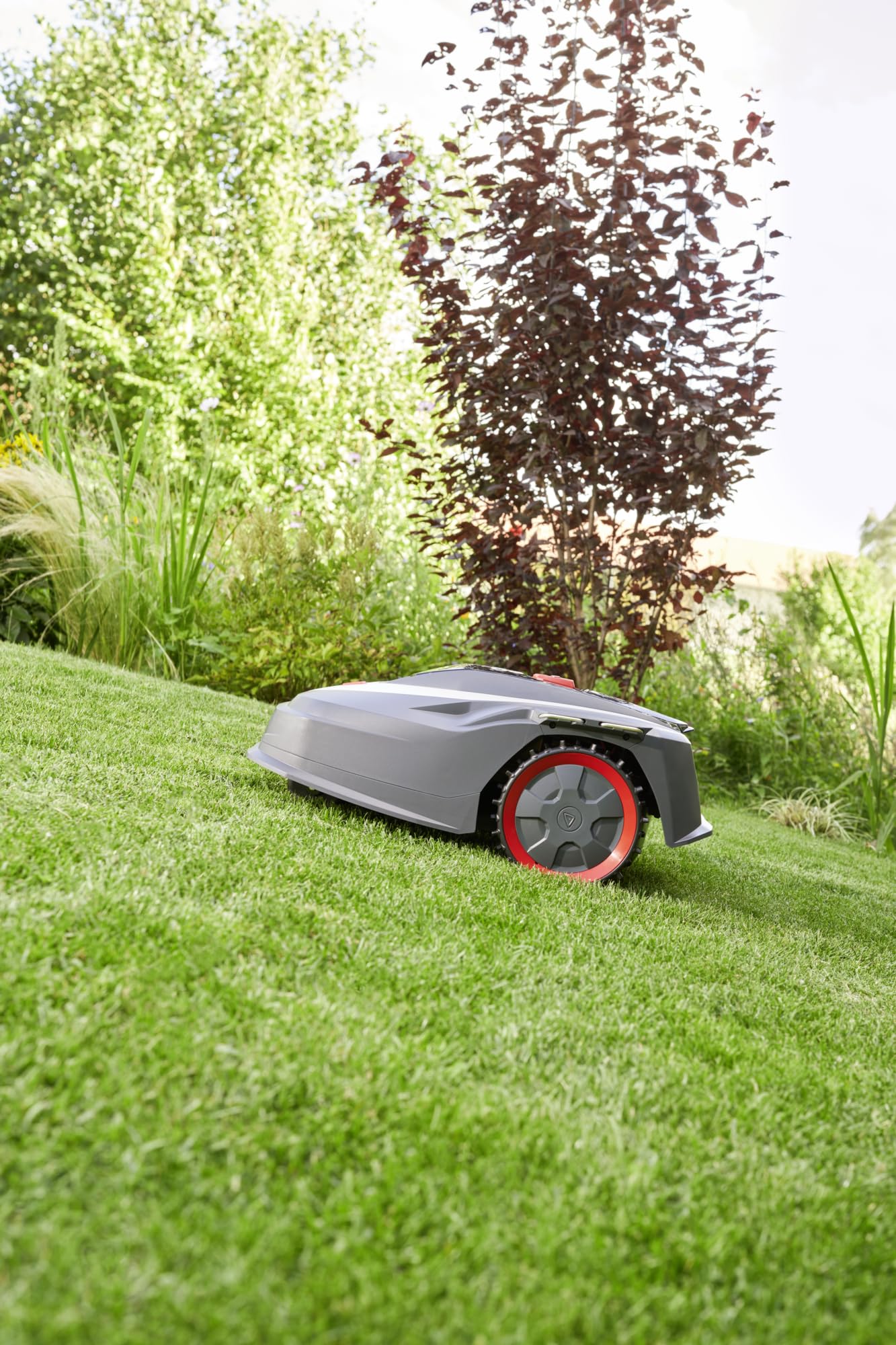 AL-KO Robot cortacésped Robolinho® 350 W, Ancho de Corte 20 cm, batería de Iones de Litio de 18 V/2,5 Ah, para Superficies de hasta 300 m², Capacidad de Ascenso máx. 30%, Muy silencioso 60 dbA