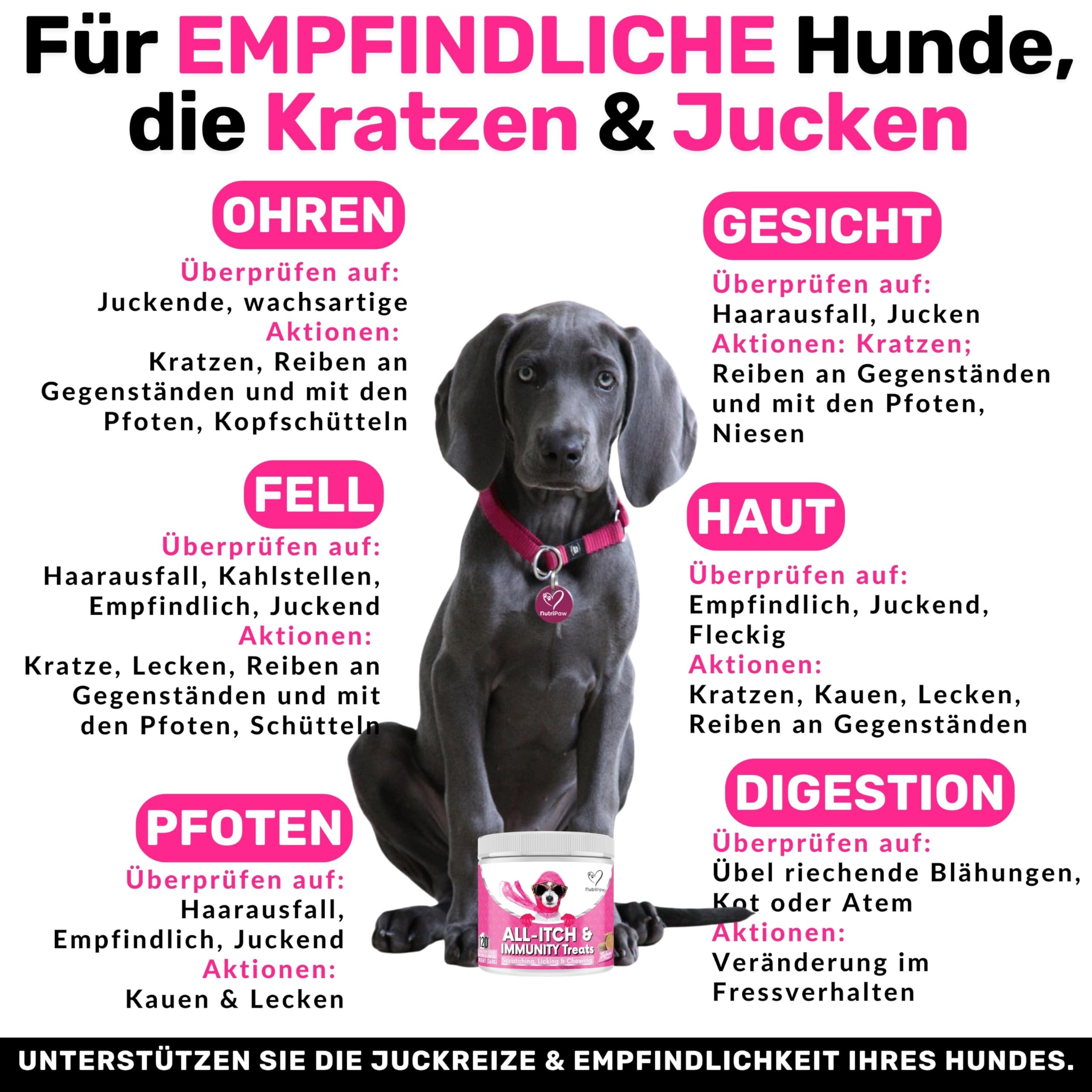 NutriPaw All-Itch Immunitäts-Leckerlis für Hunde - Beruhigt juckende Pfoten, Augen, Ohren, Haut - Beendet Jucken, Lecken, Kratzen - Perfekt für alle Hunde - Unterstützt saisonales Jucken