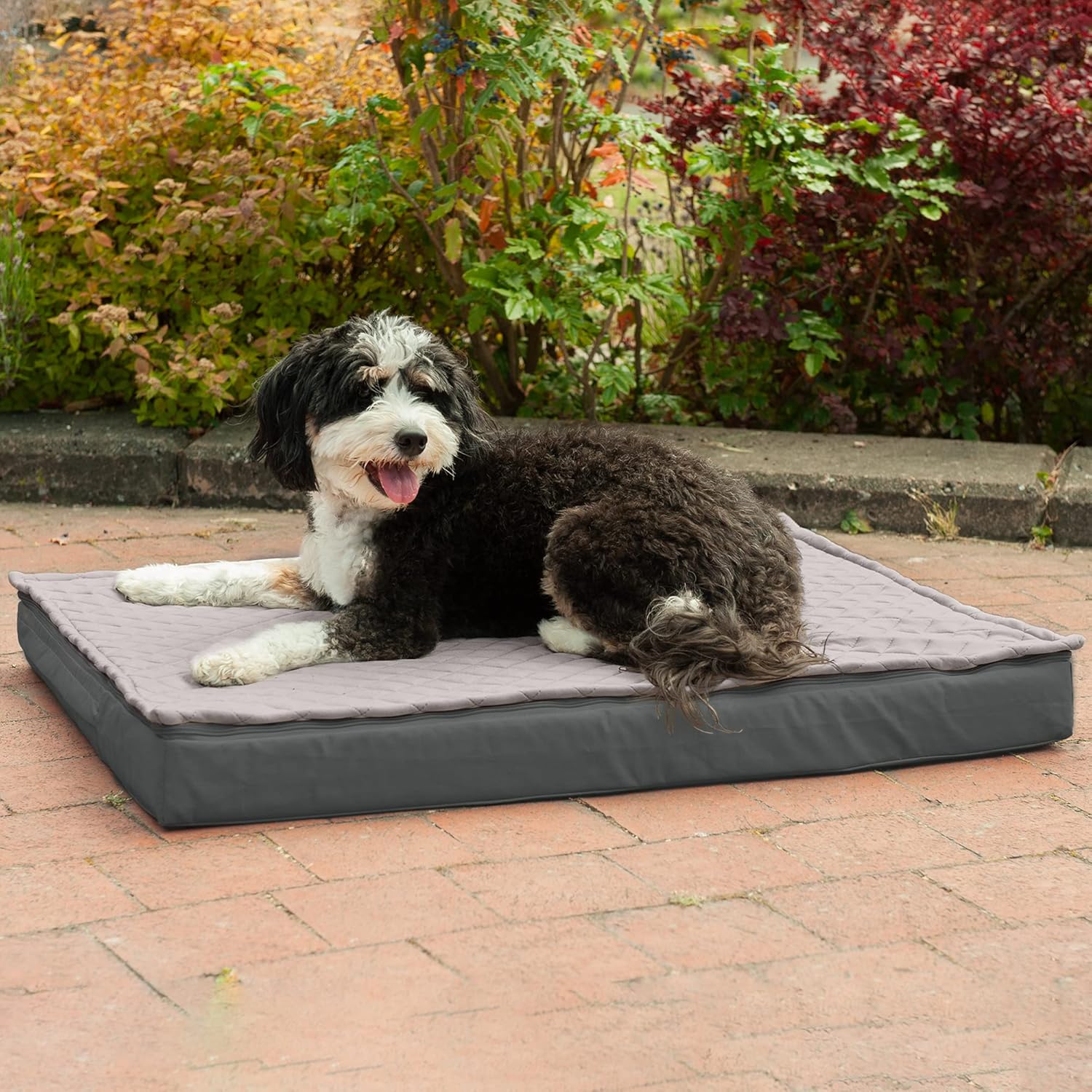 Furhaven Replacement Pet Bed Cover - Water-Resistant Indoor-Outdoor Oxford Polycanvas Logo Print Washable Dog Bed Mat Cover, Stone Gray, Large : Pet Supplies