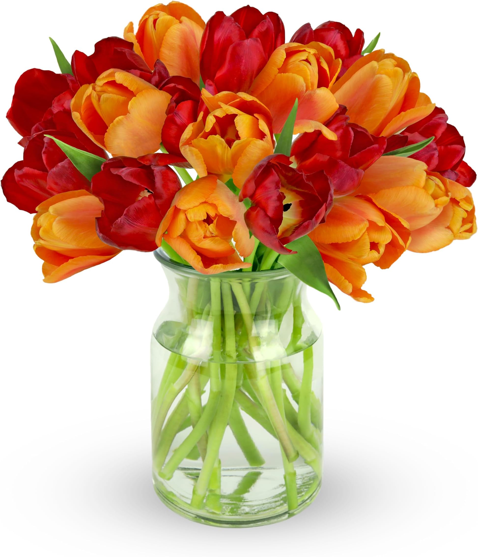 Benchmark Bouquets Seasonal Tulip Mix – Fresh Flowers for Delivery – Fresh Cut Tulips for Mom – Birthday Gifts for Women – Glass Vase Included (20 Stems)