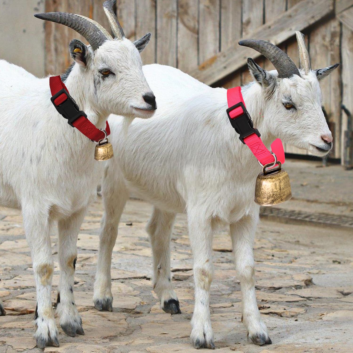 Lot de 5 colliers de chèvre avec clochettes réglables multicolores pour petits animaux de ferme 40-55 cm