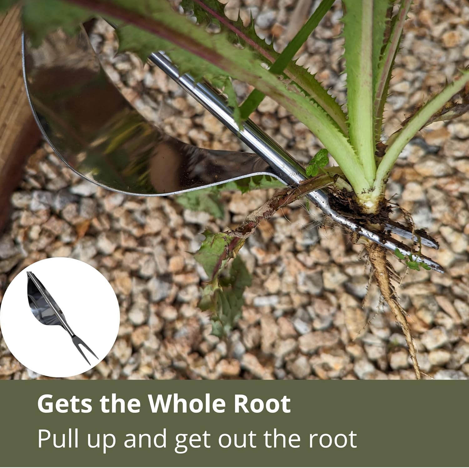 Weed Puller and Patio Paver Weeding Tool Set - Two Classic, Heavy Duty, Stainless Steel Weeding Tools with Beautiful Wooden Handles - by Truly Garden