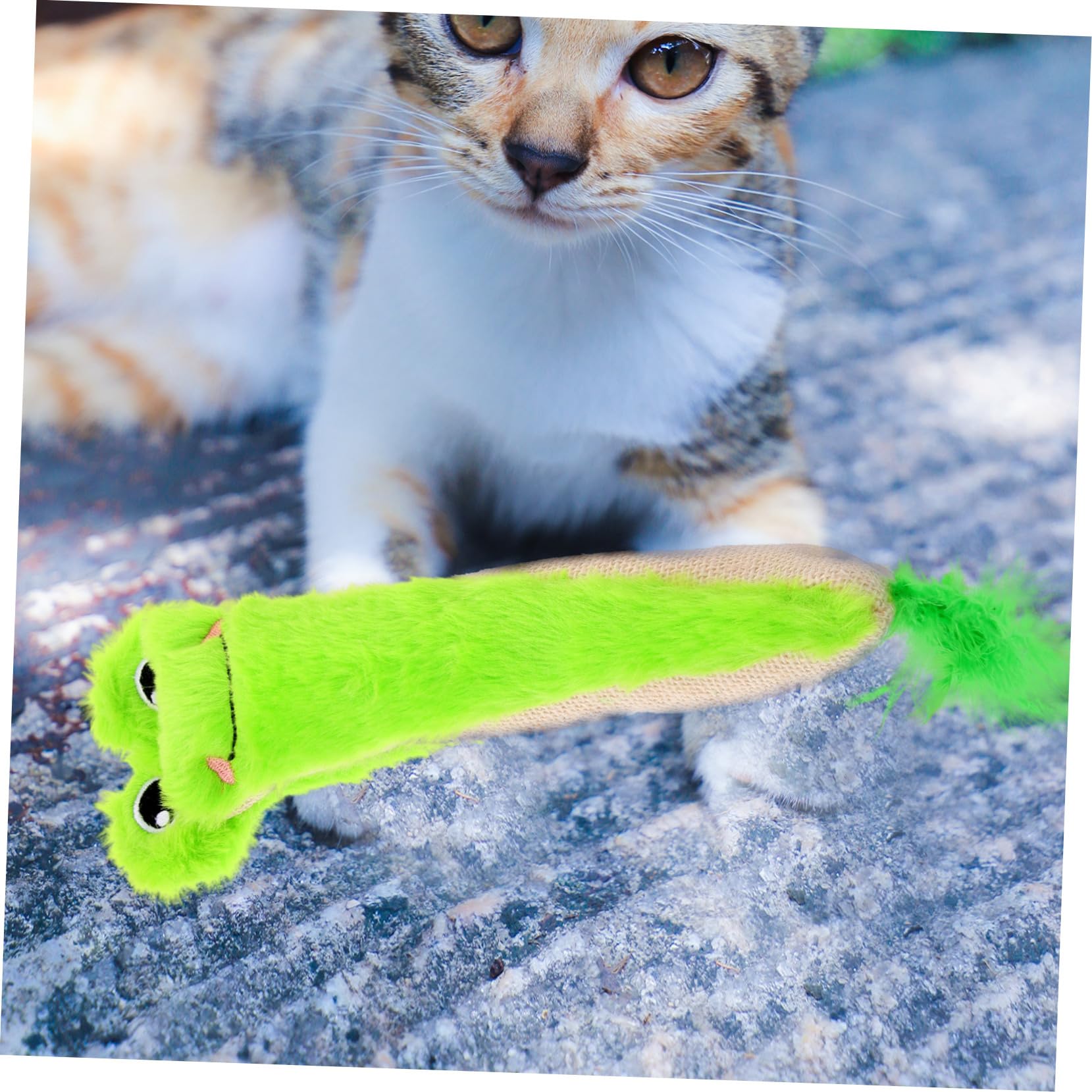 Yardwe Jouet Interactif pour Chat Peluche avec Herbe à Chat Et Papier Crissant Jouet à Mâcher pour Chaton Modèle pour Activité Félins