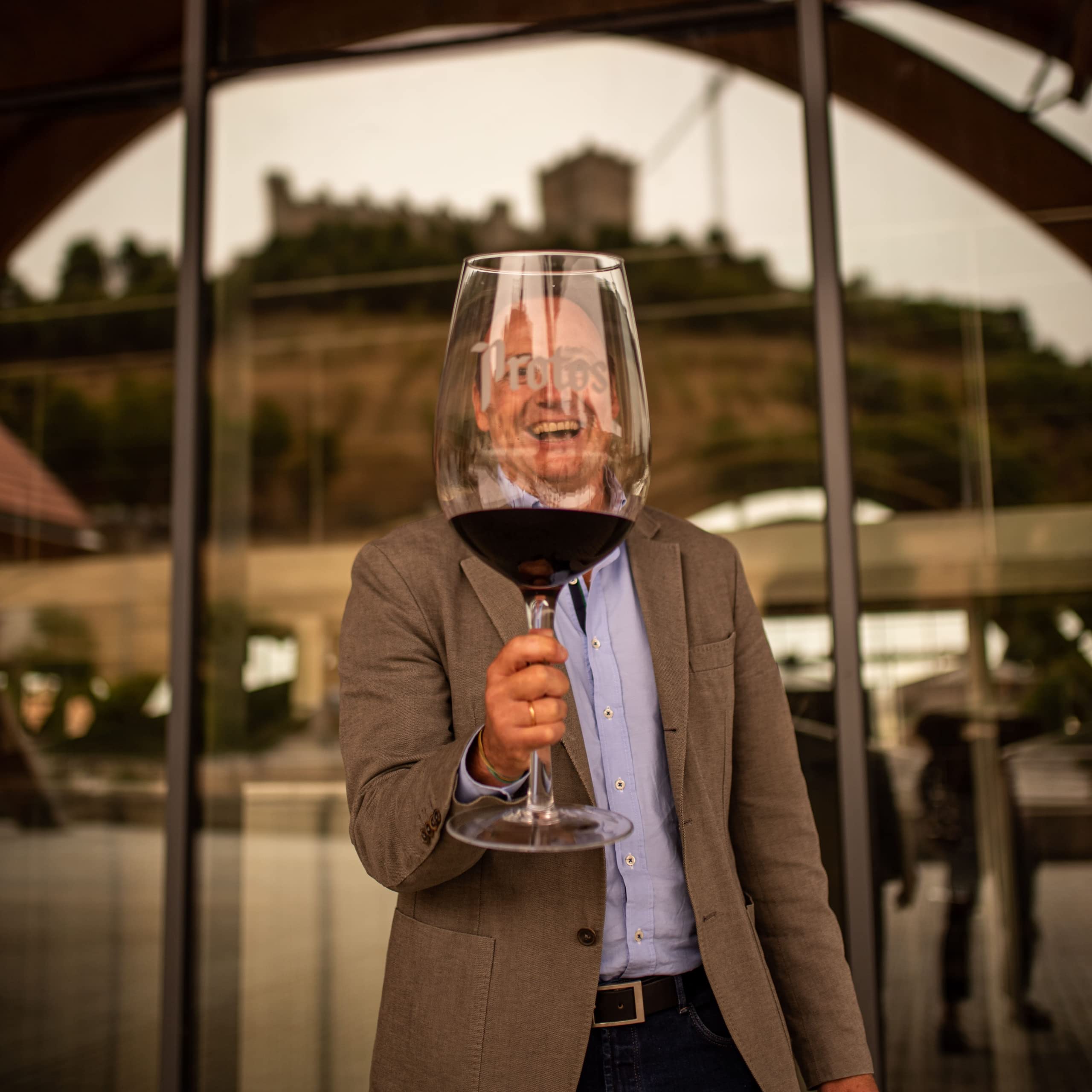 Protos Vino Tinto FINCA EL GRAJO VIEJO, Vino Tinto, Ribera del Duero 75 cl, 2020