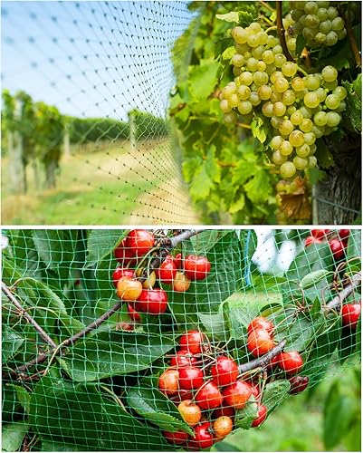 Miniatura 7 de CandyHome Malla de protección antipájaros de 13 pies x 33 pies para jardín, plantas y plantas, flores, árboles frutales, verduras de roedores,