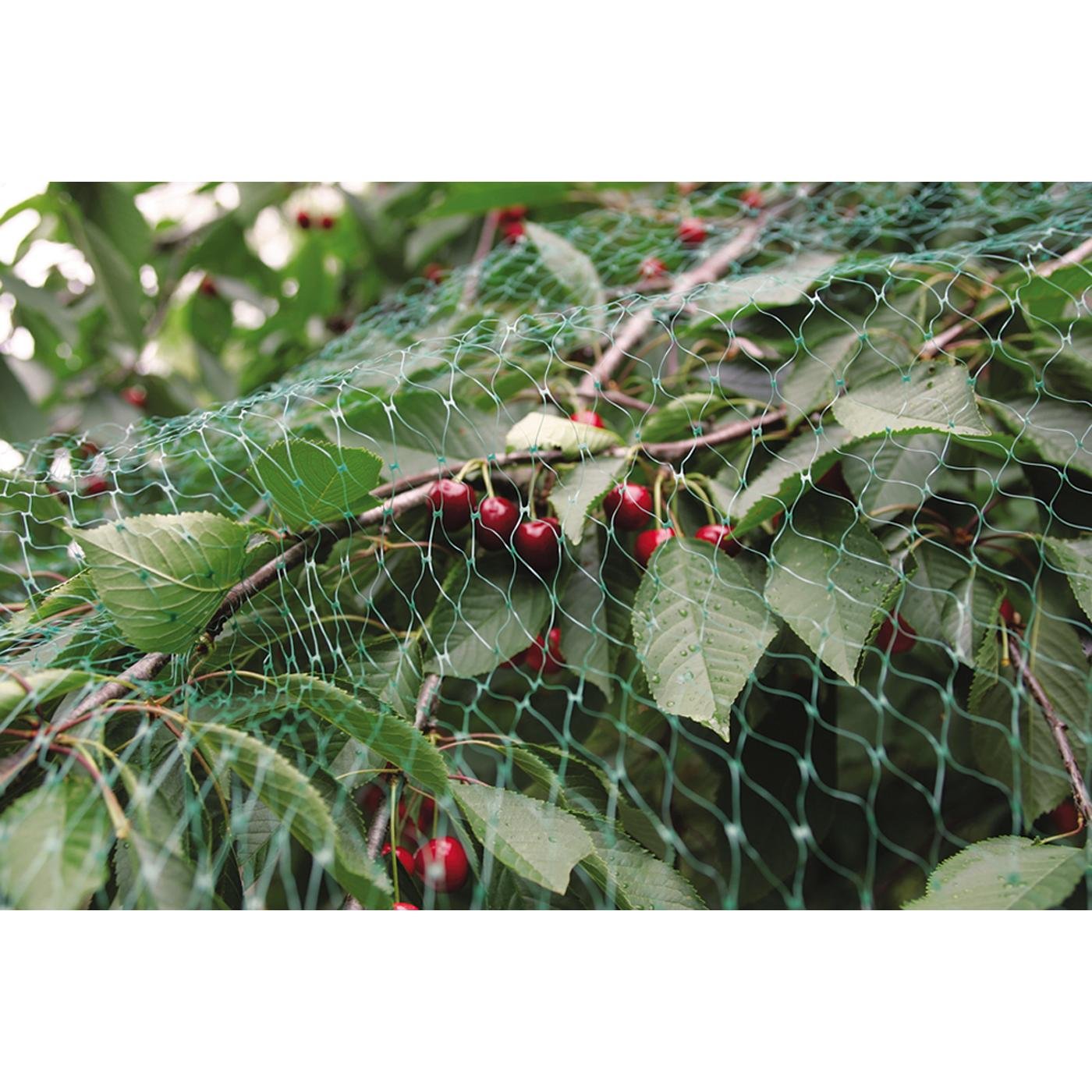 Malla antipájaros 4 x 12 m Birdnet Nortene