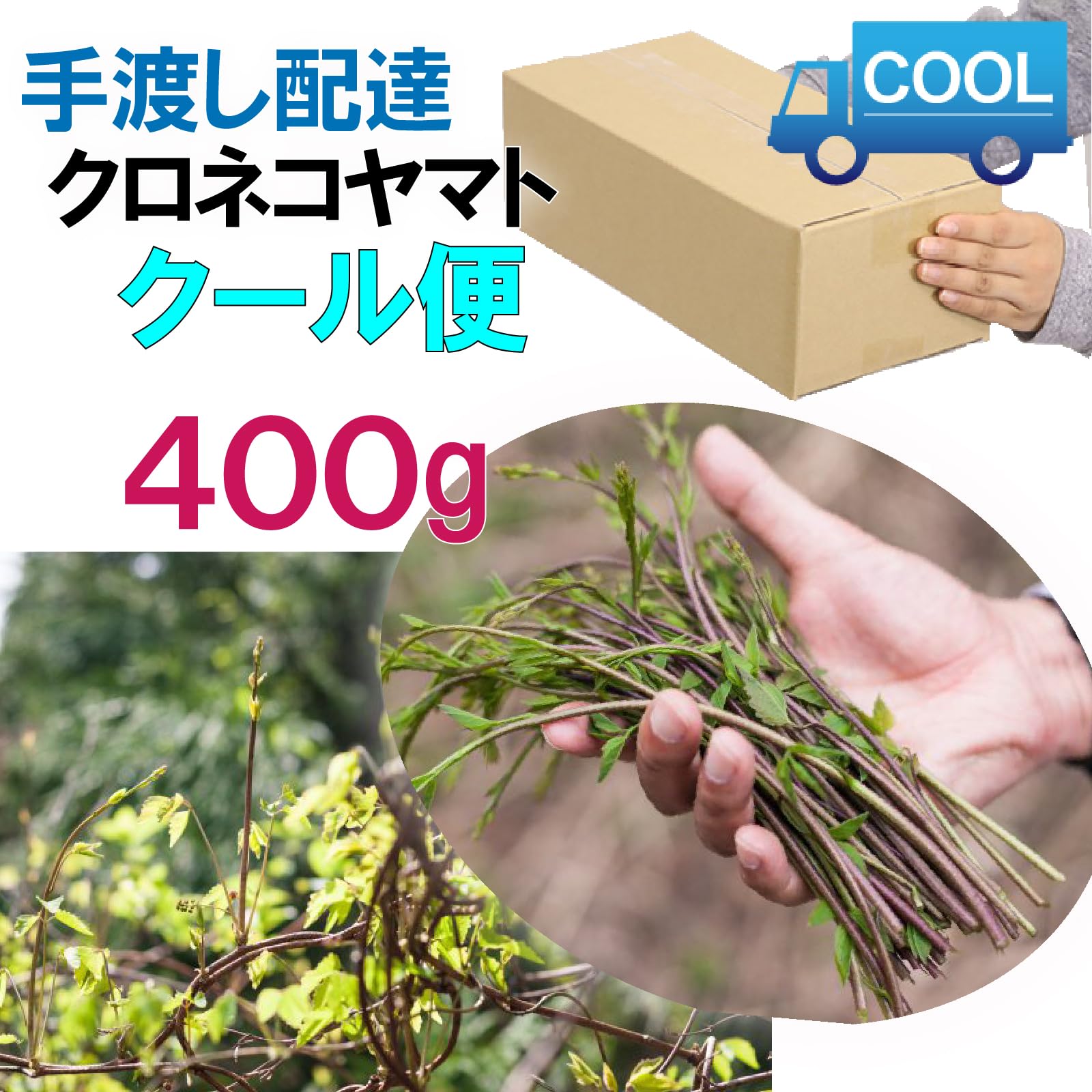 Amazon.co.jp: 【冷蔵でお届け】［新潟うおぬま産］天然 木の芽