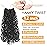 Aksice 12 Inch Yanky Twist Crochet Hair Pre-looped 8 Packs Mini Passion Twist Crochet Hair with Curly Ends Synthetic Crochet Braids Plus Yanky Twist for Black Women (12 Inch, 8 Packs,1B)