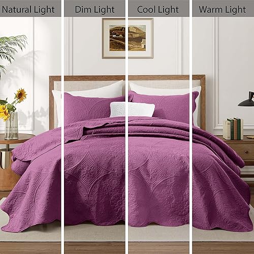 Vista 322 de IR Imperial Rooms - 10 juegos de colcha tamaño individual (68 x 86 pulgadas), para hoteles, habitaciones de huéspedes, colchas ligeras reversibles