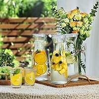 Vista 7 de NETANY Juego de 4 jarras de vidrio con tapa, jarra de vidrio transparente para barra de mimosa, brunch, agua fría, jugo, leche, té helado, limonada