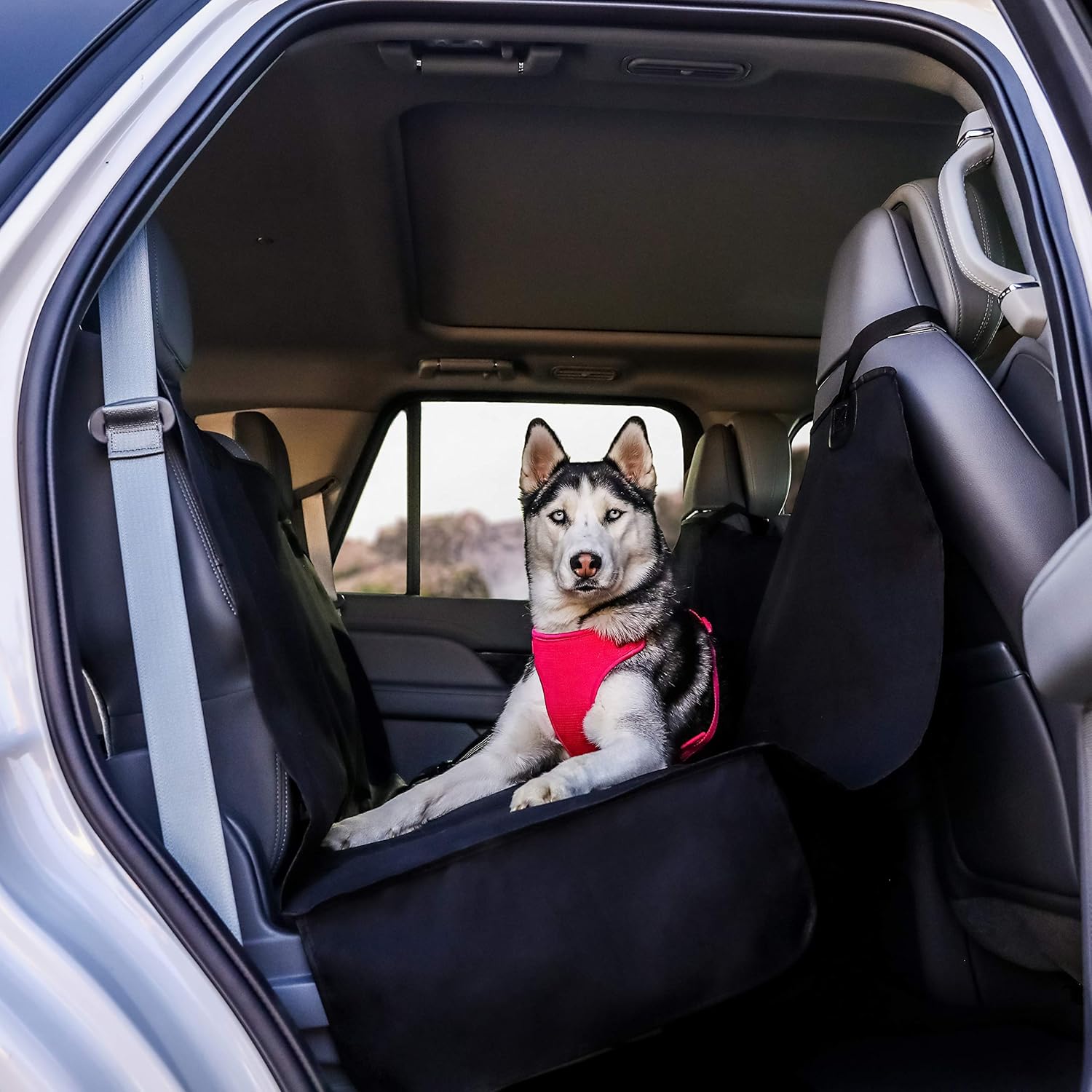 barksbar seat covers