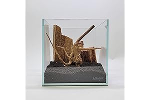 2 Gallon NANO CUBE Low Iron Super Clear Aquarium