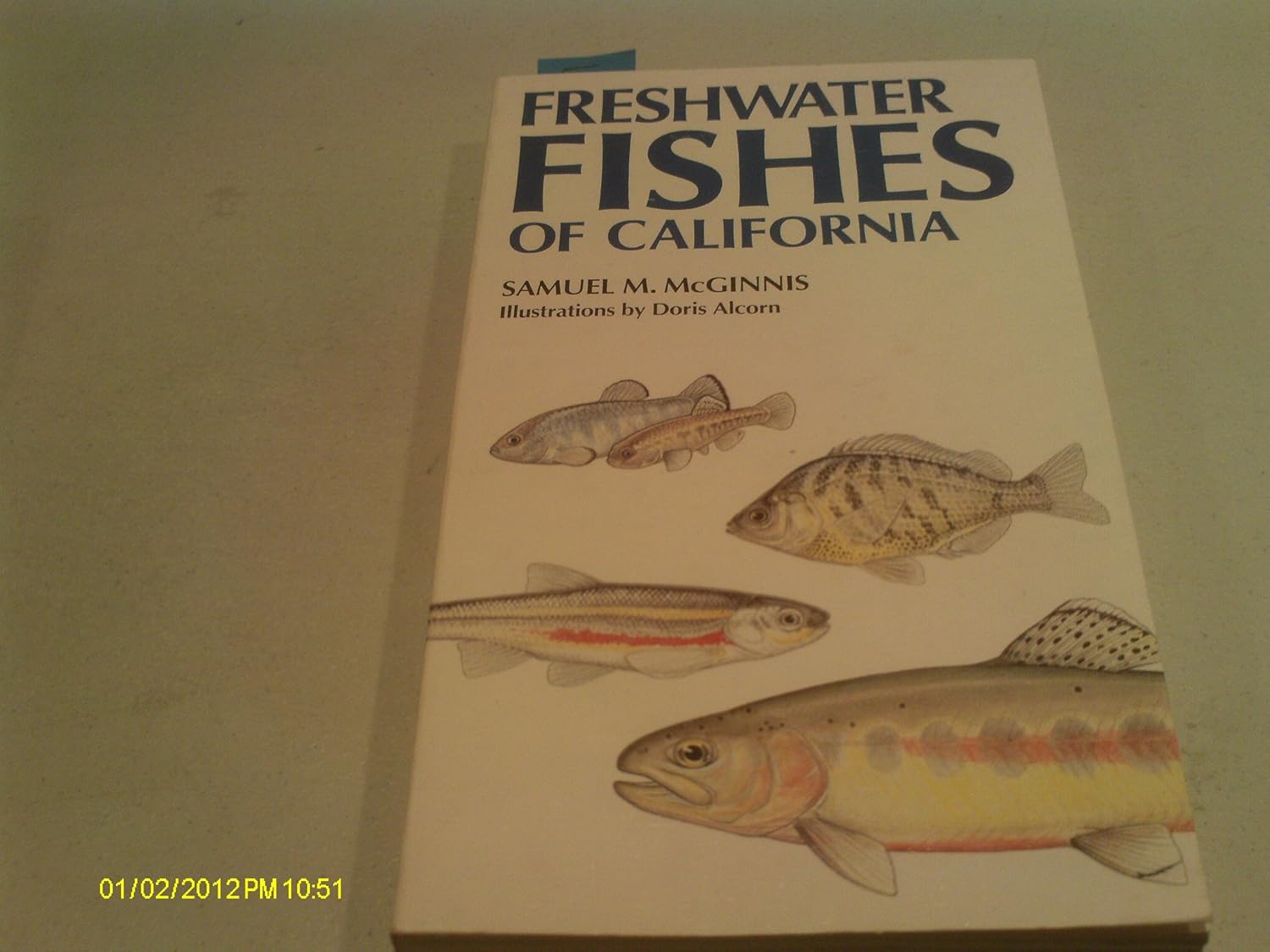 Freshwater Fishes of California (California Natural History Guides