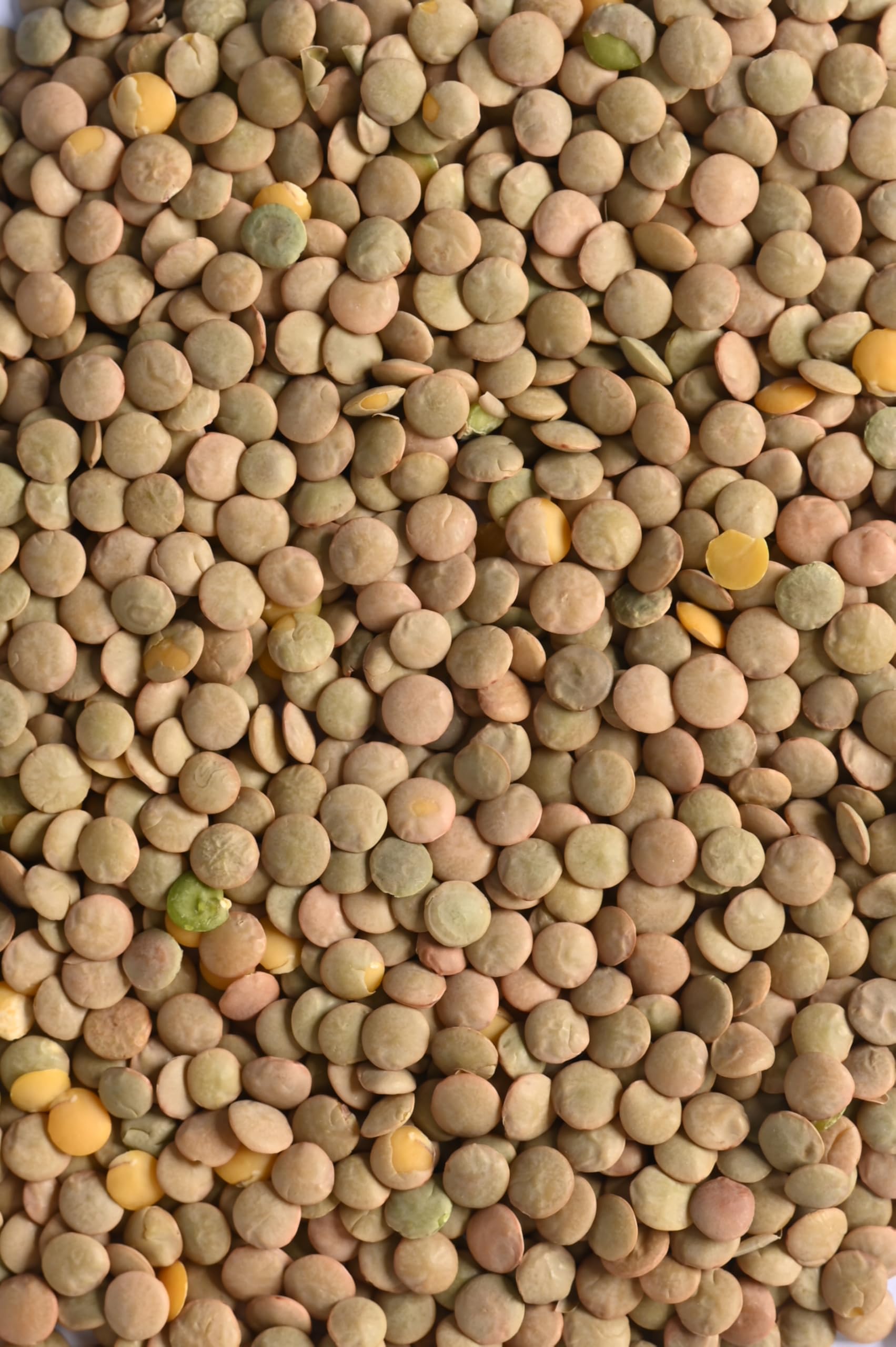 Biojoy Lentejas verdes Laird (2,5 kg), crudas y enteras, sin aditivos