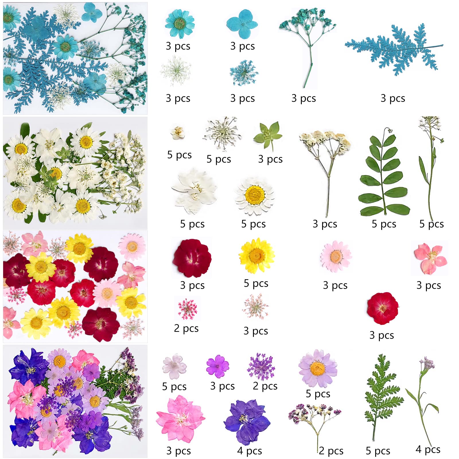33 Fleurs Séchées Pressées Naturelles - Kit DIY Pour Résine, Bijoux, Déco, Nail Art - 12 Variétés Violettes
