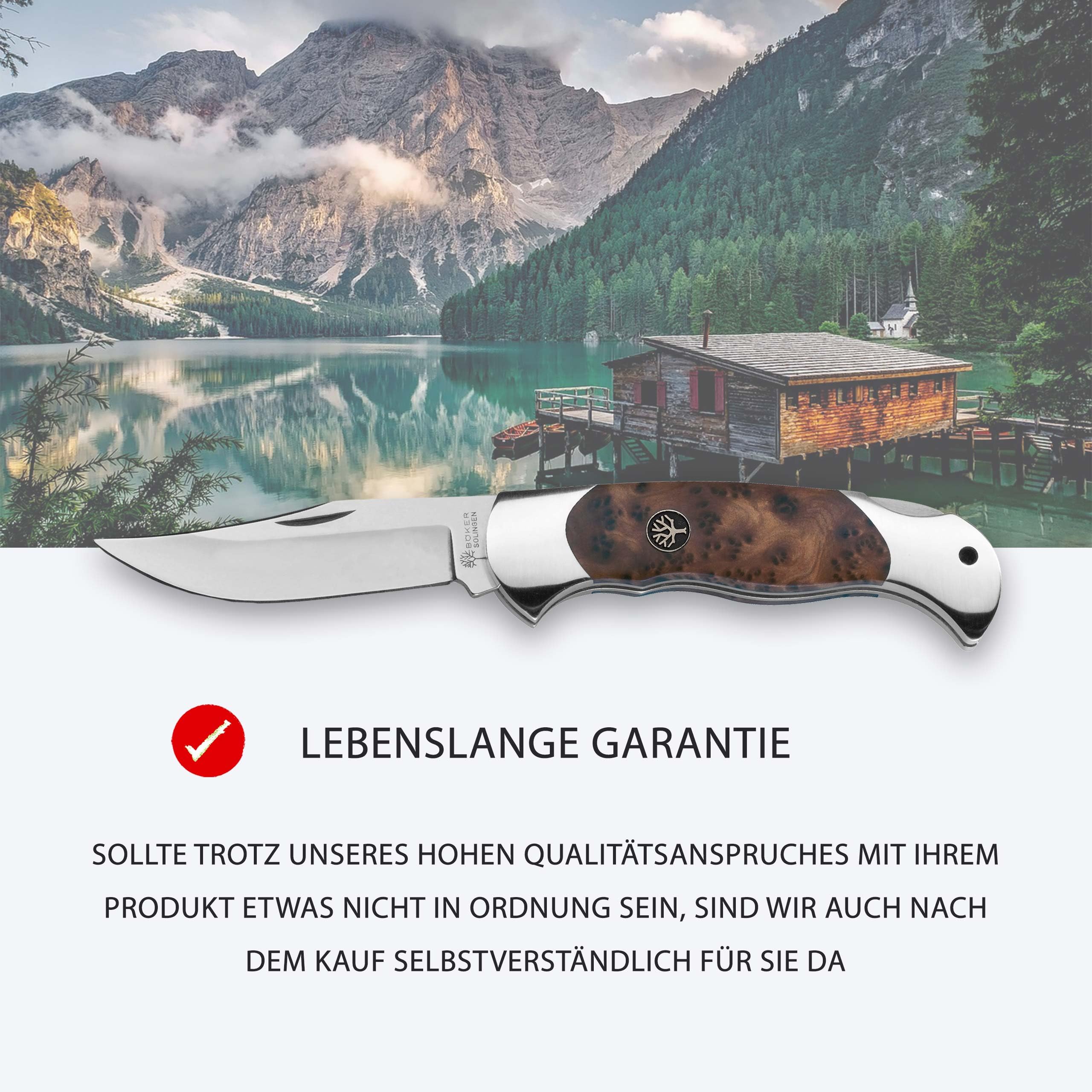 zimmerpflanzen klein Zimmerpflanzen Set 6 Pflanzen mit Keramiktpfen kaufen