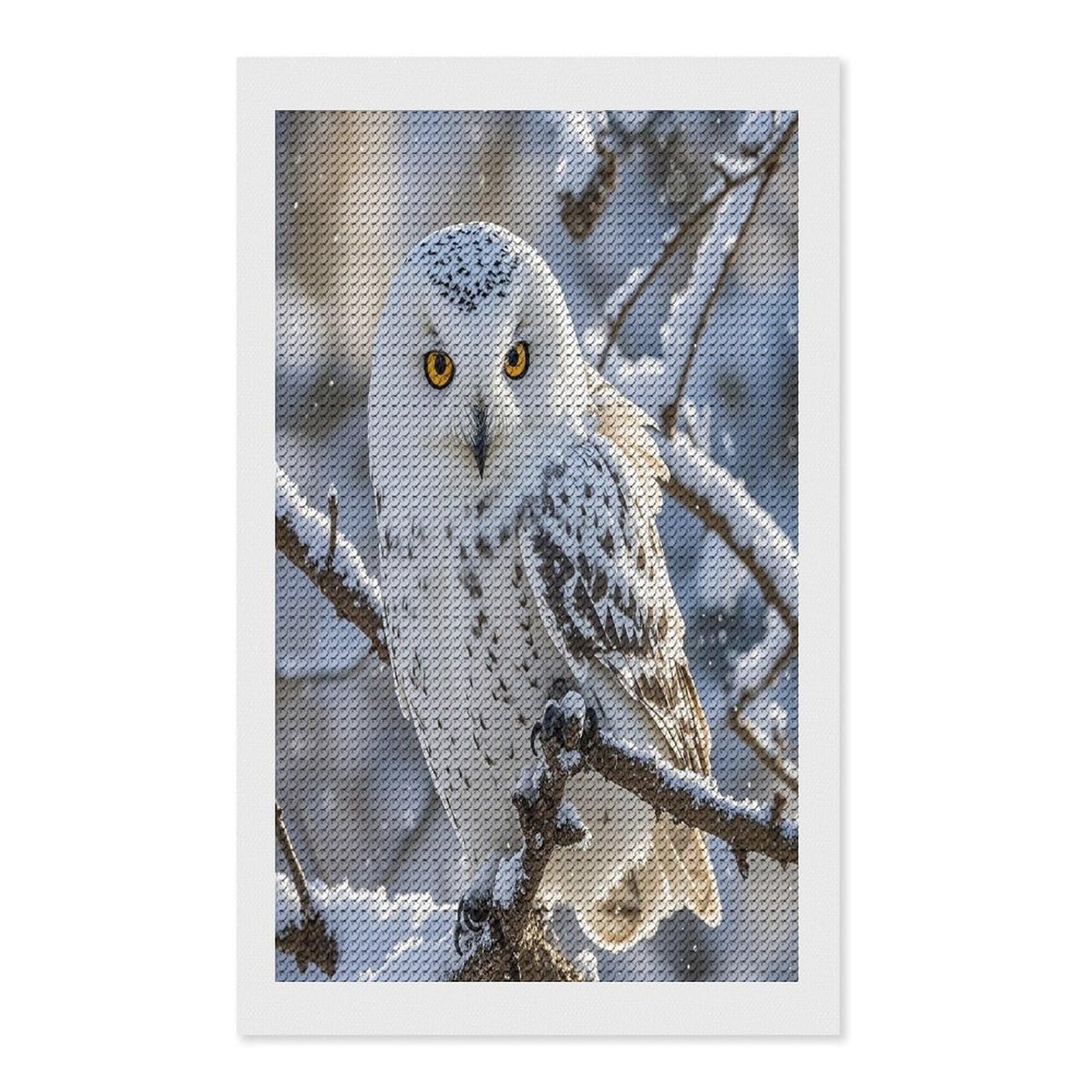 FekiLoot Winter White Owl Diamond Painting Kits for Adults Full Round Drill Diamond Art Kits for Beginners 5D DIY Diamond Dots Paintings Diamonds Pictures Gem Art Home Wall Decor 12"x20"
