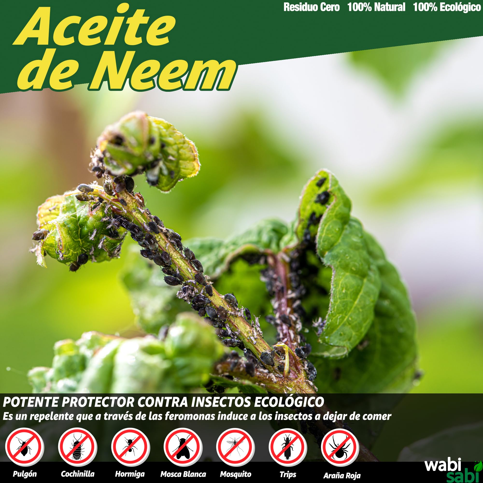 aceite de neem como insecticida 10 81mmvhvCz3L