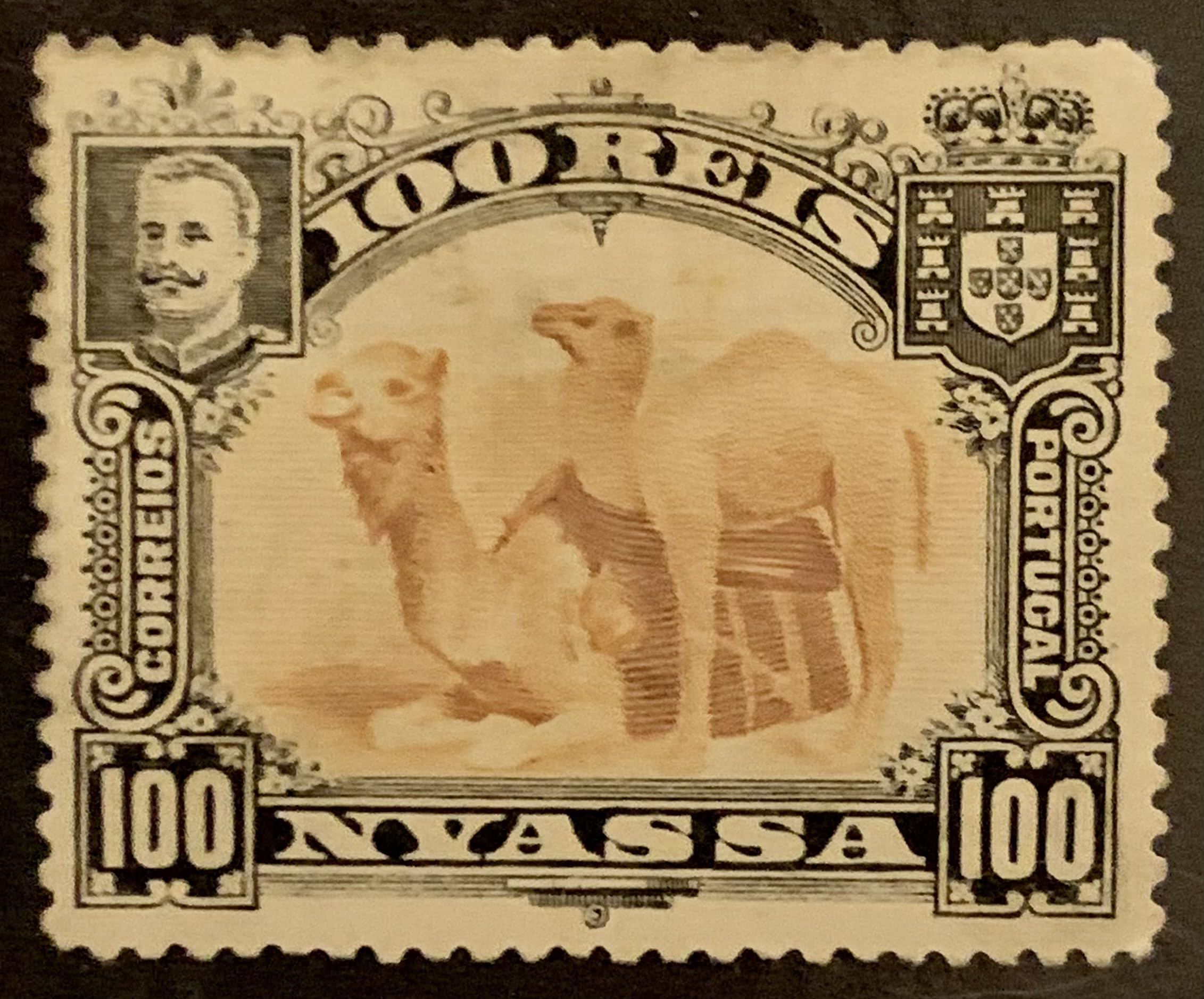 Camels 100 Reis Portugal Nyassa Company Postage Stamp